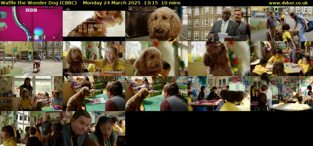 Waffle the Wonder Dog (CBBC) Monday 24 March 2025 13:15 - 13:25