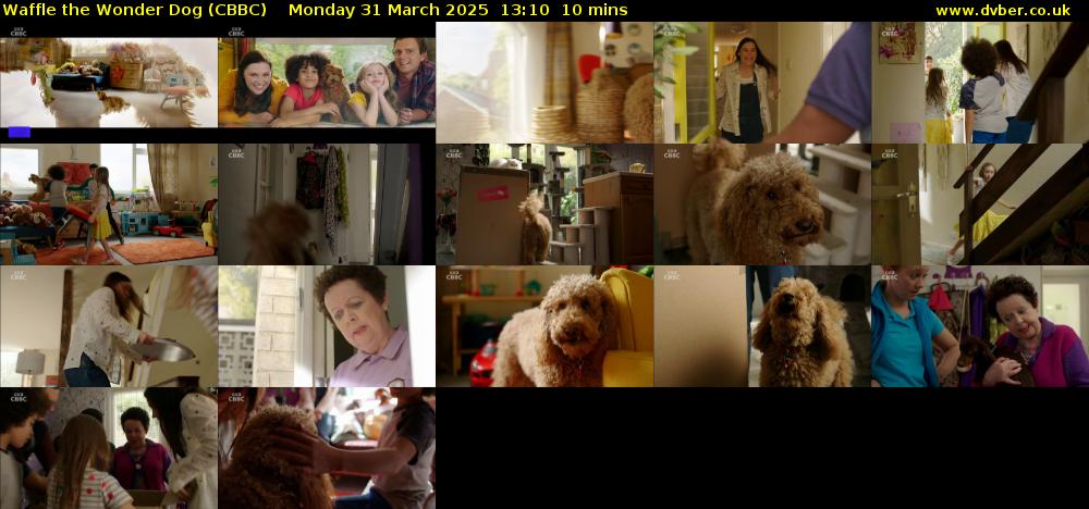 Waffle the Wonder Dog (CBBC) Monday 31 March 2025 13:10 - 13:20