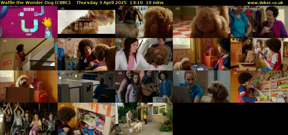 Waffle the Wonder Dog (CBBC) Thursday 3 April 2025 13:10 - 13:20