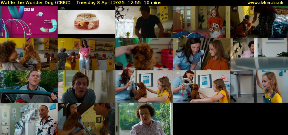 Waffle the Wonder Dog (CBBC) Tuesday 8 April 2025 12:55 - 13:05