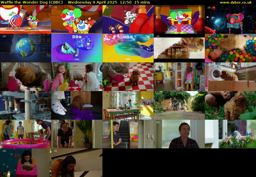 Waffle the Wonder Dog (CBBC) Wednesday 9 April 2025 12:50 - 13:05