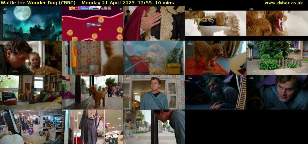 Waffle the Wonder Dog (CBBC) Monday 21 April 2025 12:55 - 13:05