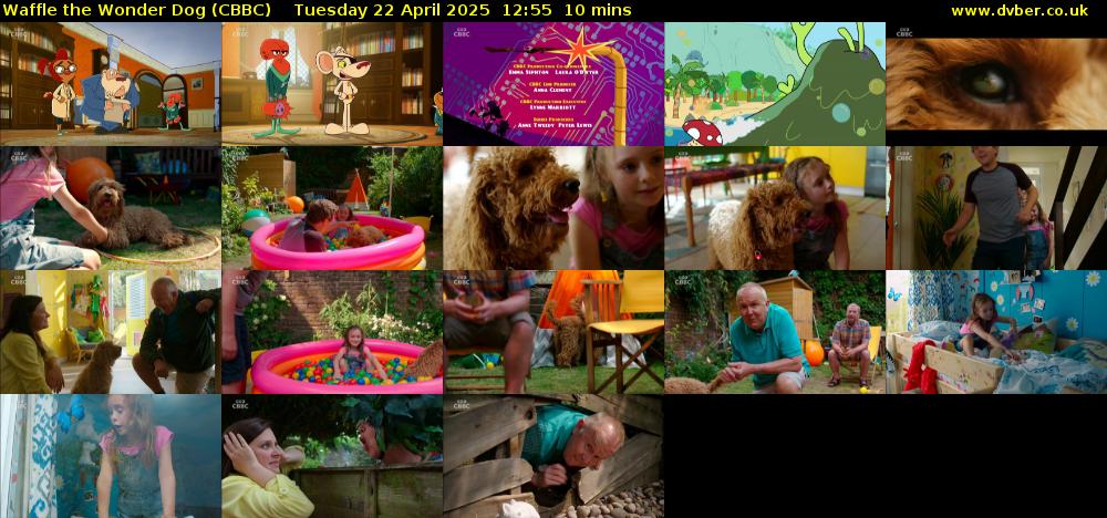 Waffle the Wonder Dog (CBBC) Tuesday 22 April 2025 12:55 - 13:05