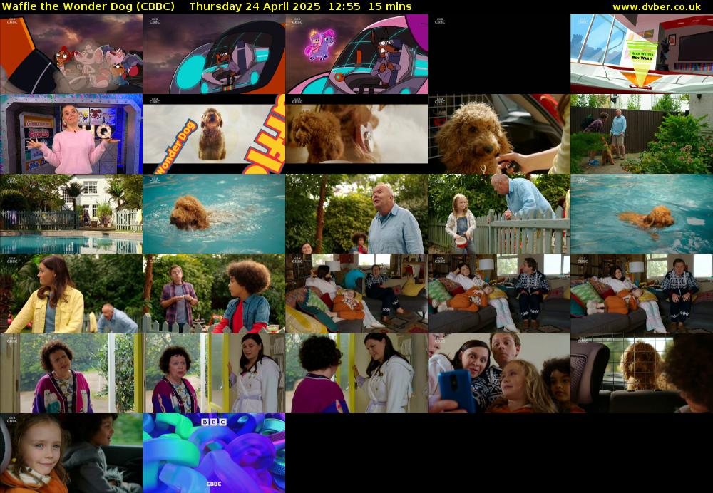 Waffle the Wonder Dog (CBBC) Thursday 24 April 2025 12:55 - 13:10