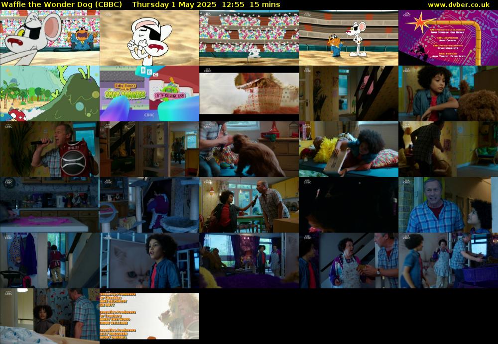Waffle the Wonder Dog (CBBC) Thursday 1 May 2025 12:55 - 13:10