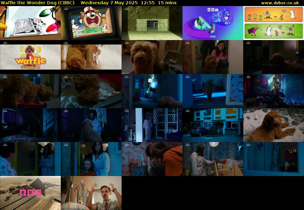 Waffle the Wonder Dog (CBBC) Wednesday 7 May 2025 12:55 - 13:10