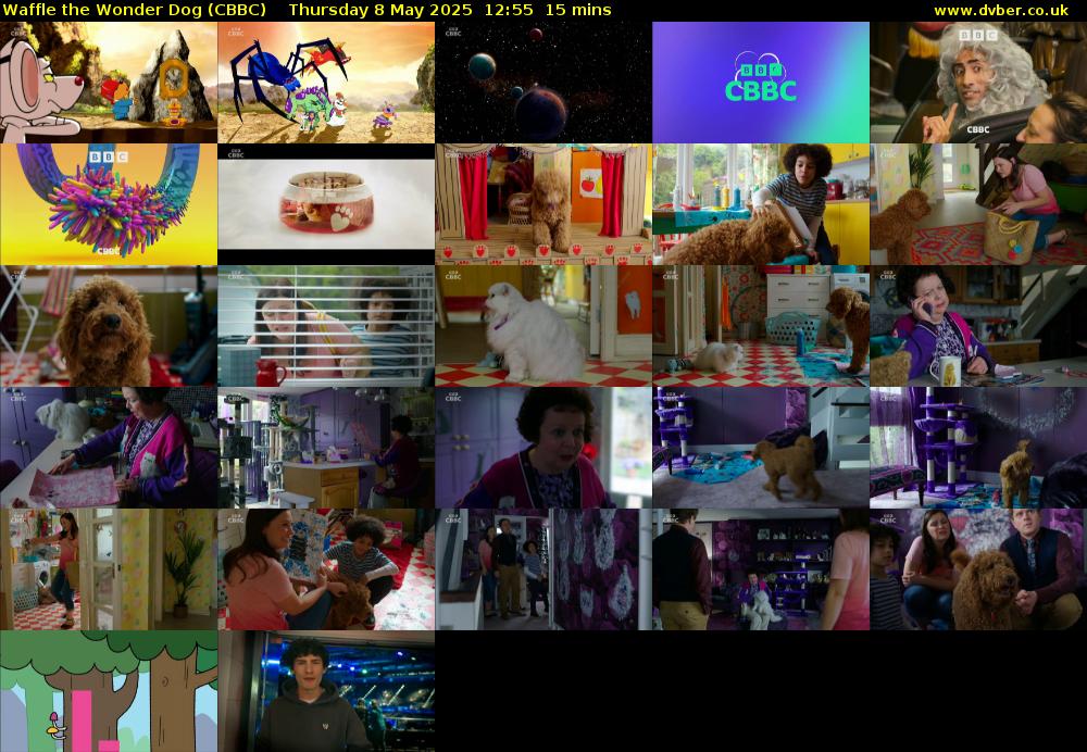 Waffle the Wonder Dog (CBBC) Thursday 8 May 2025 12:55 - 13:10