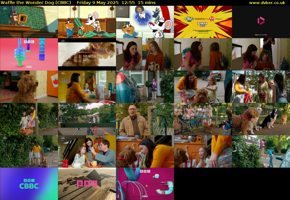 Waffle the Wonder Dog (CBBC) Friday 9 May 2025 12:55 - 13:10