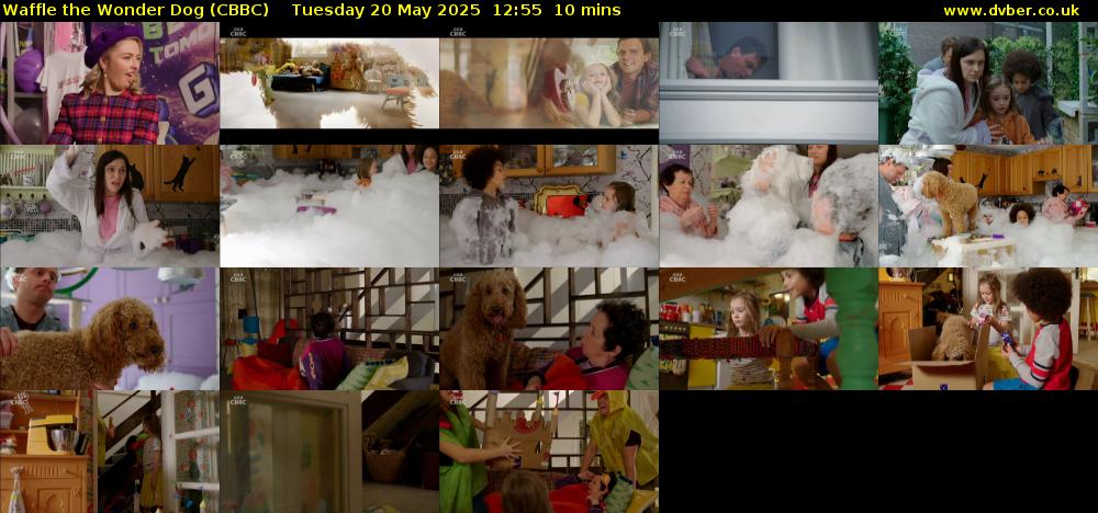 Waffle the Wonder Dog (CBBC) Tuesday 20 May 2025 12:55 - 13:05
