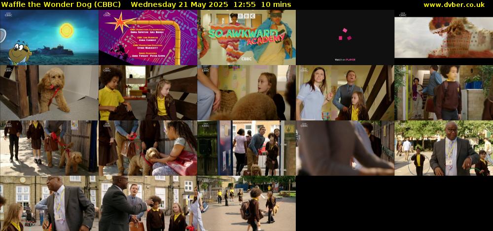 Waffle the Wonder Dog (CBBC) Wednesday 21 May 2025 12:55 - 13:05