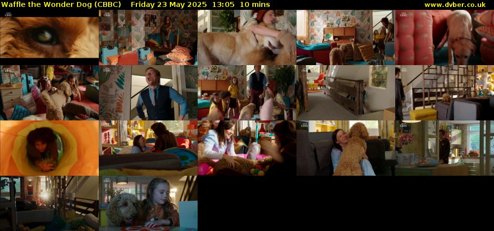 Waffle the Wonder Dog (CBBC) Friday 23 May 2025 13:05 - 13:15