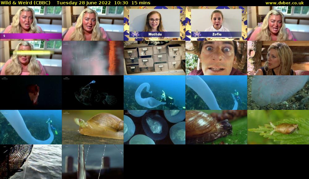 Wild & Weird (CBBC) Tuesday 28 June 2022 10:30 - 10:45