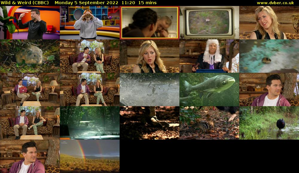 Wild & Weird (CBBC) Monday 5 September 2022 11:20 - 11:35