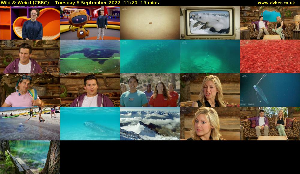 Wild & Weird (CBBC) Tuesday 6 September 2022 11:20 - 11:35