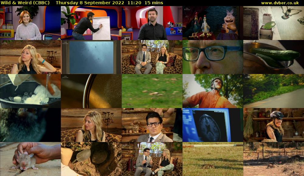 Wild & Weird (CBBC) Thursday 8 September 2022 11:20 - 11:35