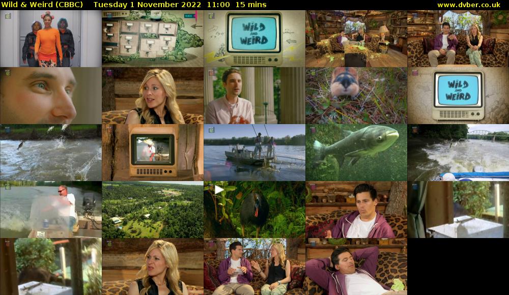 Wild & Weird (CBBC) Tuesday 1 November 2022 11:00 - 11:15