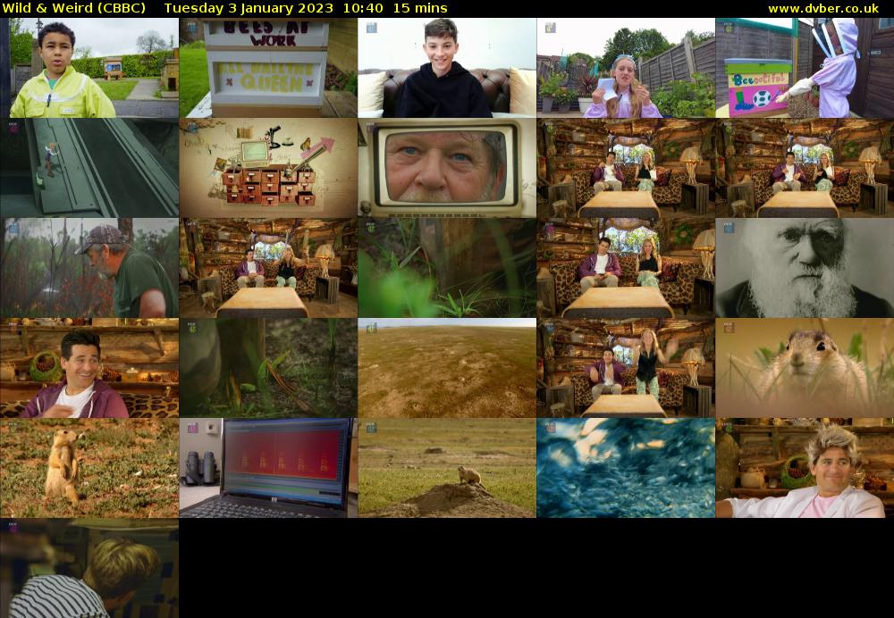 Wild & Weird (CBBC) Tuesday 3 January 2023 10:40 - 10:55