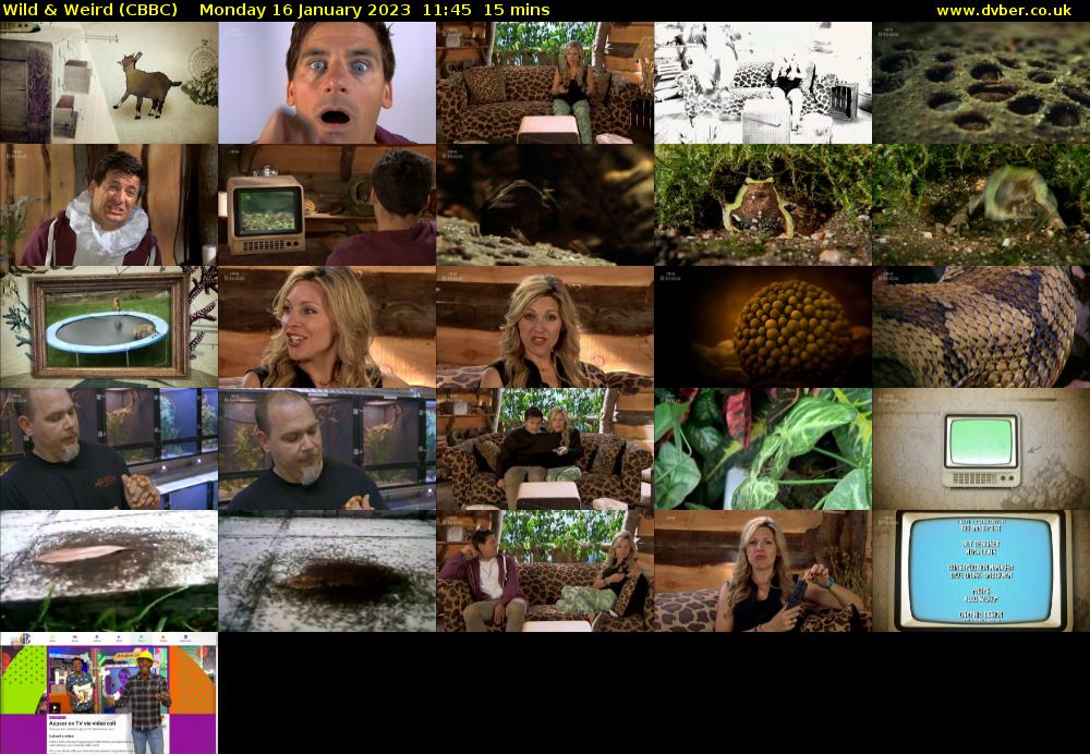 Wild & Weird (CBBC) Monday 16 January 2023 11:45 - 12:00