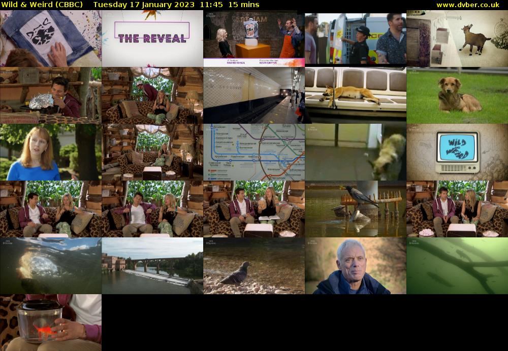 Wild & Weird (CBBC) Tuesday 17 January 2023 11:45 - 12:00