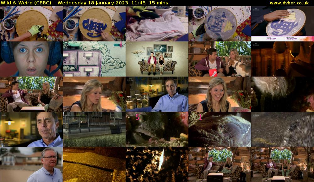 Wild & Weird (CBBC) Wednesday 18 January 2023 11:45 - 12:00