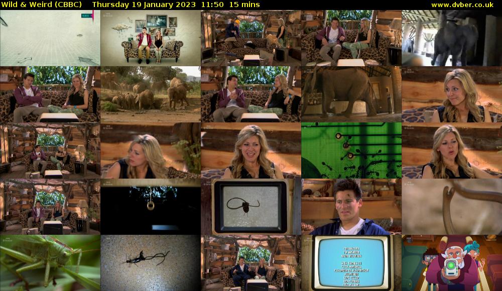Wild & Weird (CBBC) Thursday 19 January 2023 11:50 - 12:05