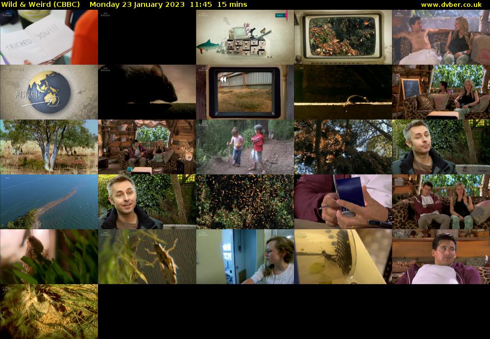 Wild & Weird (CBBC) Monday 23 January 2023 11:45 - 12:00