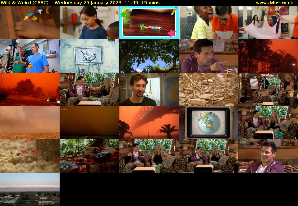 Wild & Weird (CBBC) Wednesday 25 January 2023 11:45 - 12:00