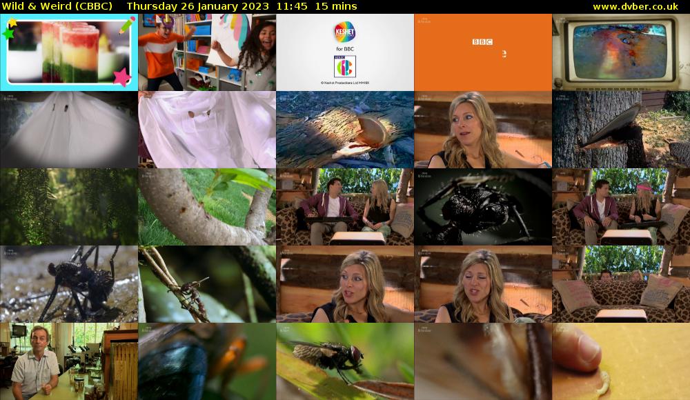 Wild & Weird (CBBC) Thursday 26 January 2023 11:45 - 12:00