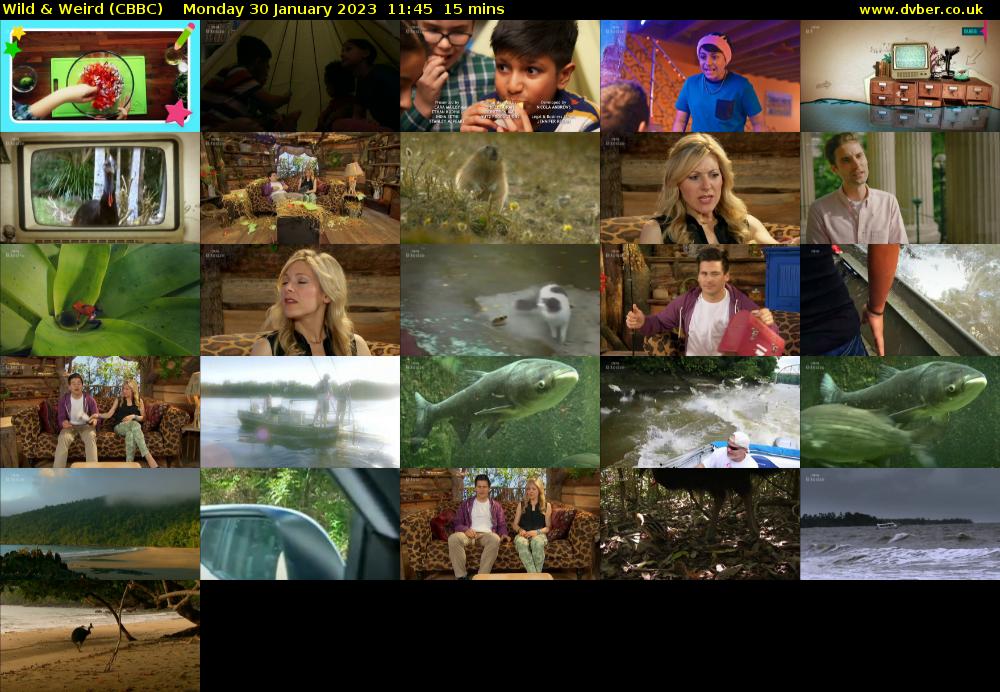 Wild & Weird (CBBC) Monday 30 January 2023 11:45 - 12:00