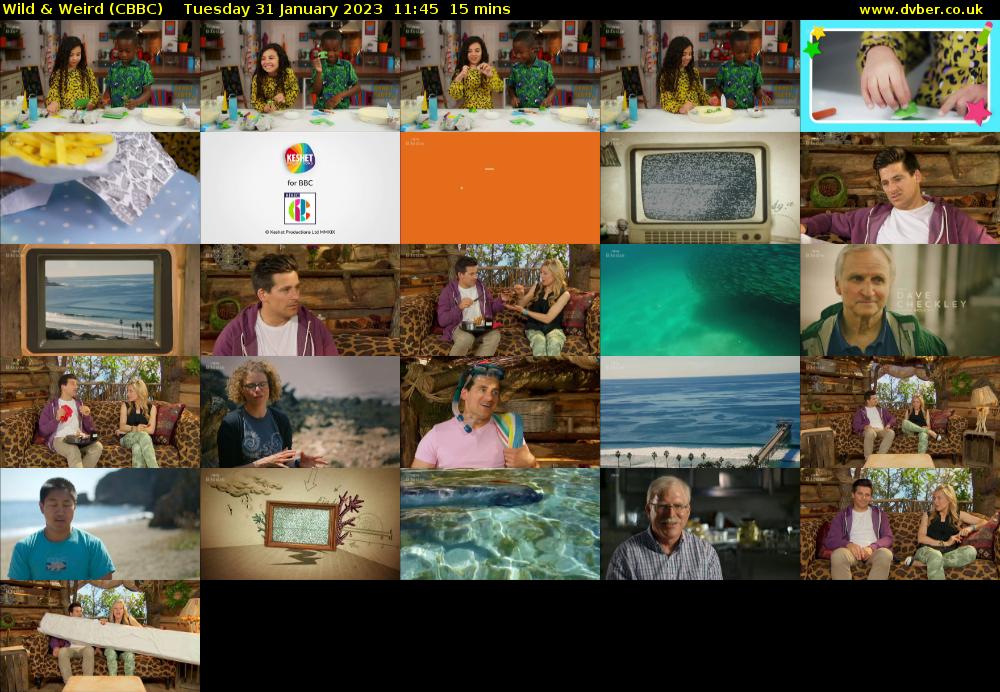 Wild & Weird (CBBC) Tuesday 31 January 2023 11:45 - 12:00