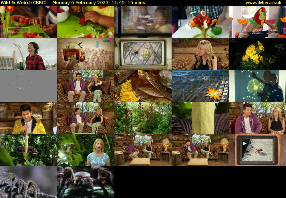 Wild & Weird (CBBC) Monday 6 February 2023 11:45 - 12:00