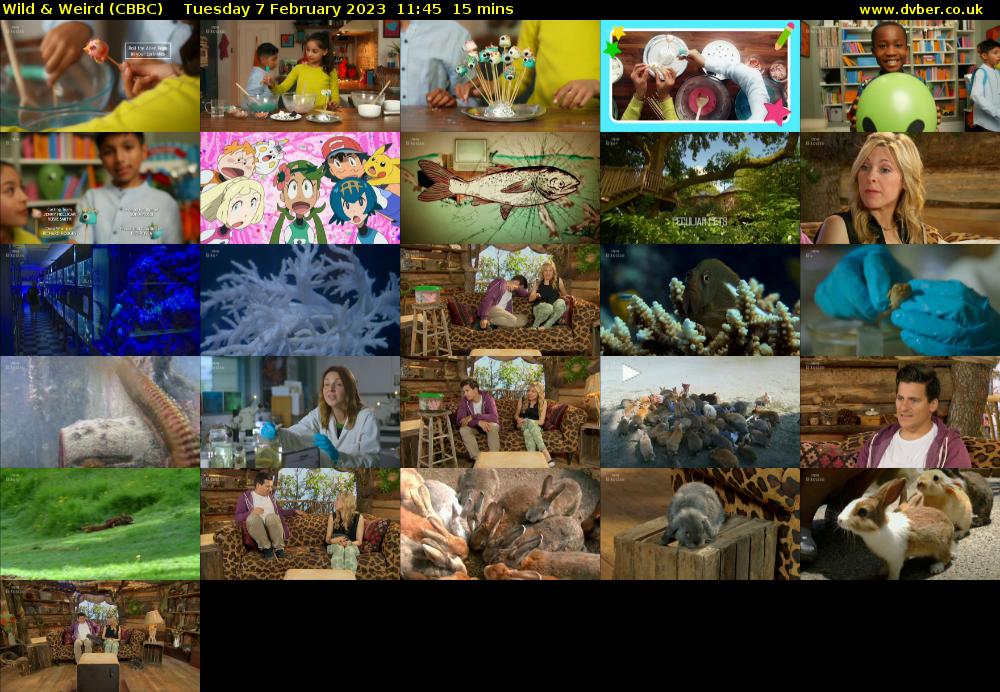 Wild & Weird (CBBC) Tuesday 7 February 2023 11:45 - 12:00