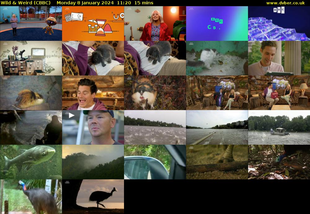 Wild & Weird (CBBC) Monday 8 January 2024 11:20 - 11:35