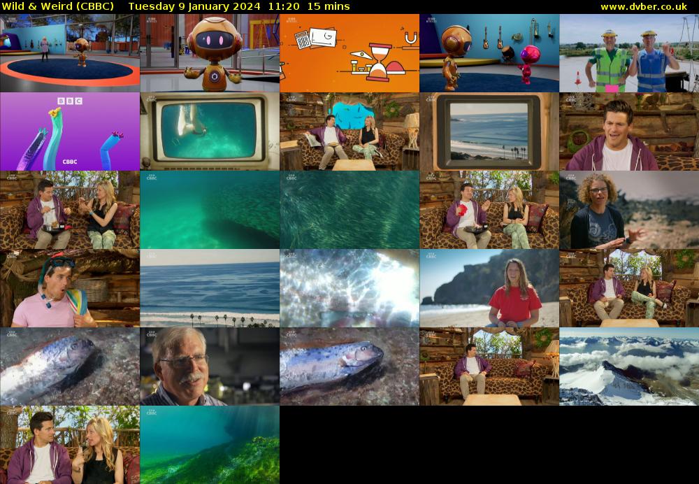 Wild & Weird (CBBC) Tuesday 9 January 2024 11:20 - 11:35
