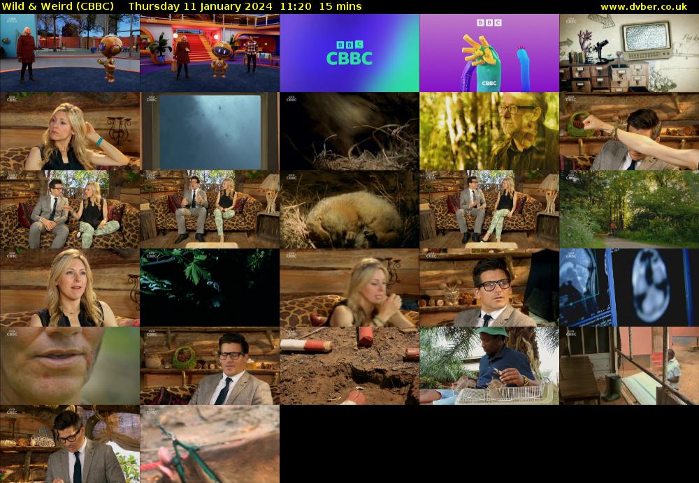 Wild & Weird (CBBC) Thursday 11 January 2024 11:20 - 11:35