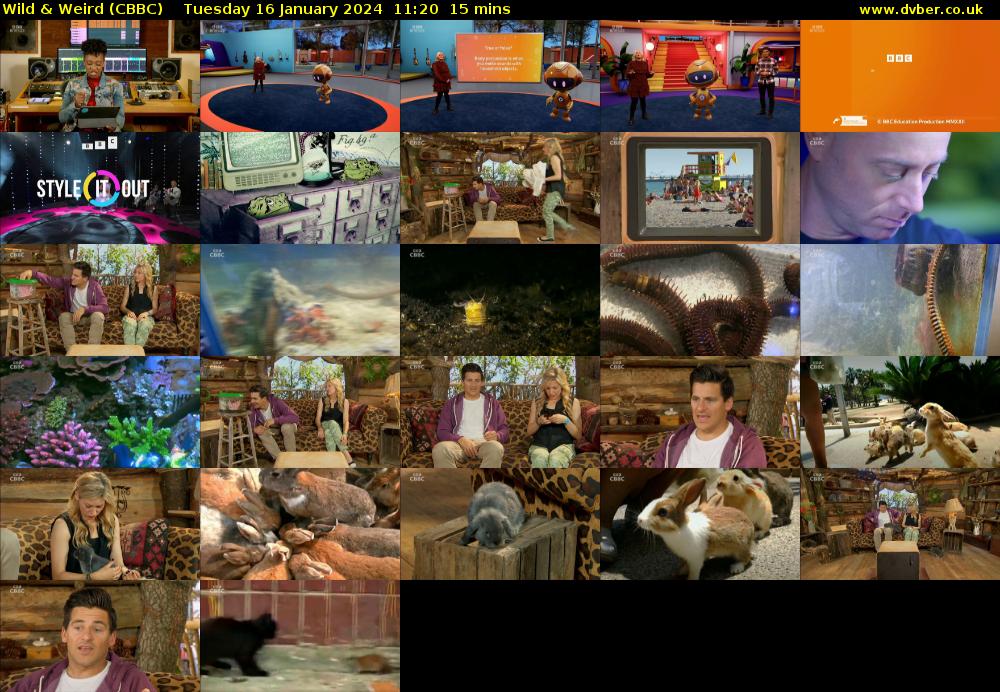 Wild & Weird (CBBC) Tuesday 16 January 2024 11:20 - 11:35