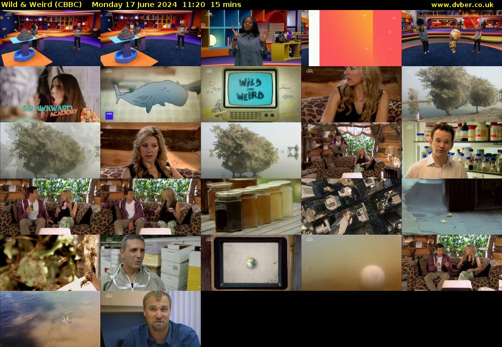 Wild & Weird (CBBC) Monday 17 June 2024 11:20 - 11:35