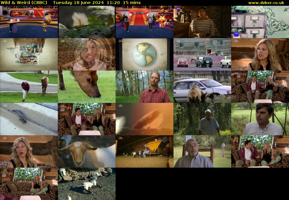 Wild & Weird (CBBC) Tuesday 18 June 2024 11:20 - 11:35