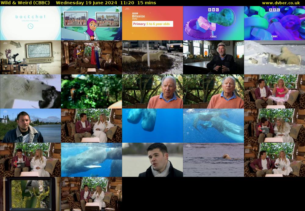 Wild & Weird (CBBC) Wednesday 19 June 2024 11:20 - 11:35