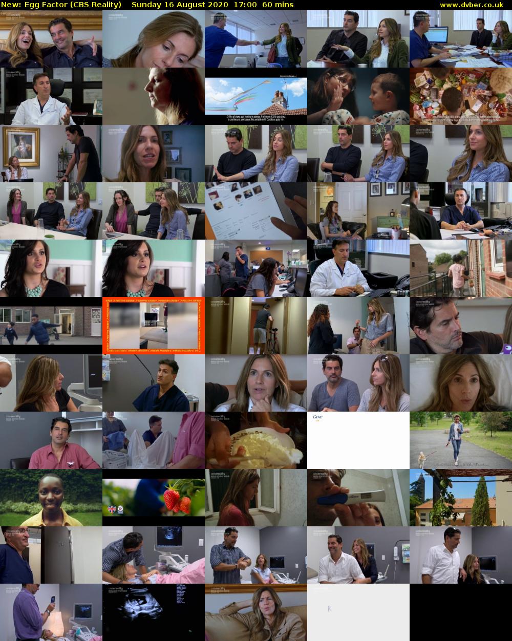Egg Factor (CBS Reality) Sunday 16 August 2020 17:00 - 18:00