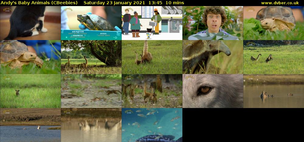 Andy's Baby Animals (CBeebies) Saturday 23 January 2021 13:45 - 13:55