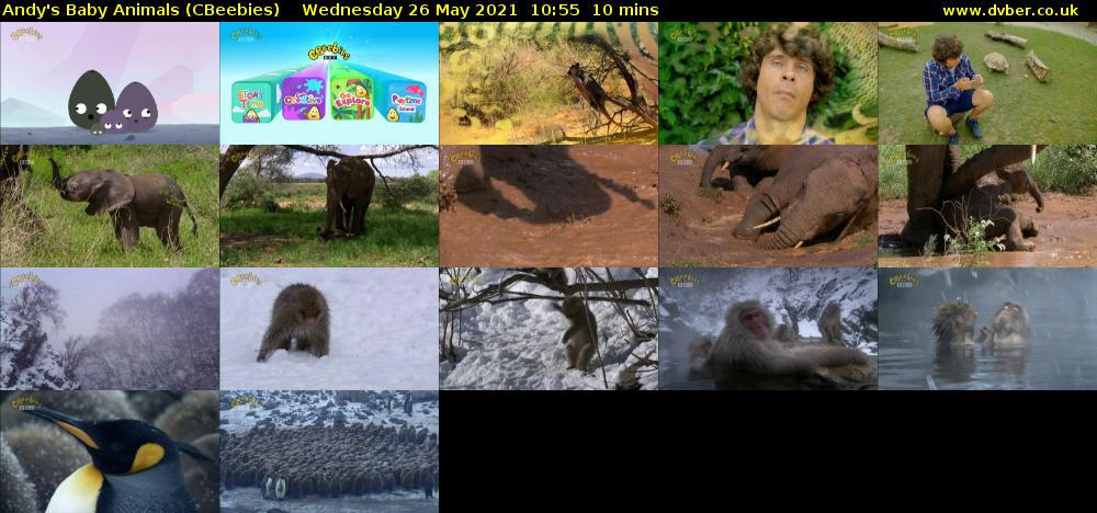 Andy's Baby Animals (CBeebies) Wednesday 26 May 2021 10:55 - 11:05