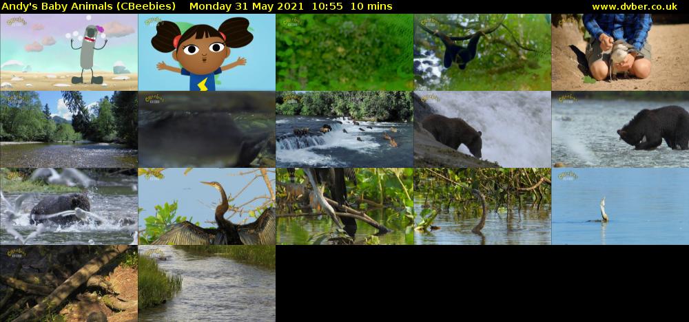 Andy's Baby Animals (CBeebies) Monday 31 May 2021 10:55 - 11:05