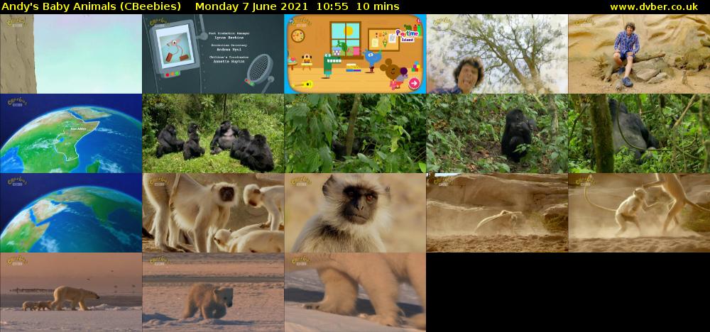 Andy's Baby Animals (CBeebies) Monday 7 June 2021 10:55 - 11:05