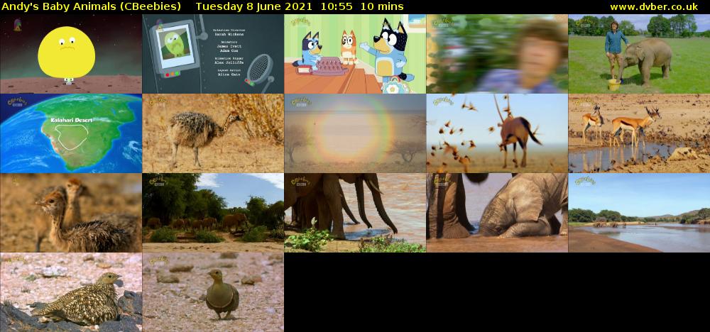 Andy's Baby Animals (CBeebies) Tuesday 8 June 2021 10:55 - 11:05