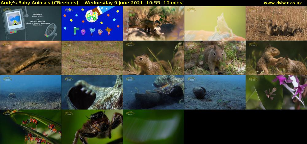 Andy's Baby Animals (CBeebies) Wednesday 9 June 2021 10:55 - 11:05