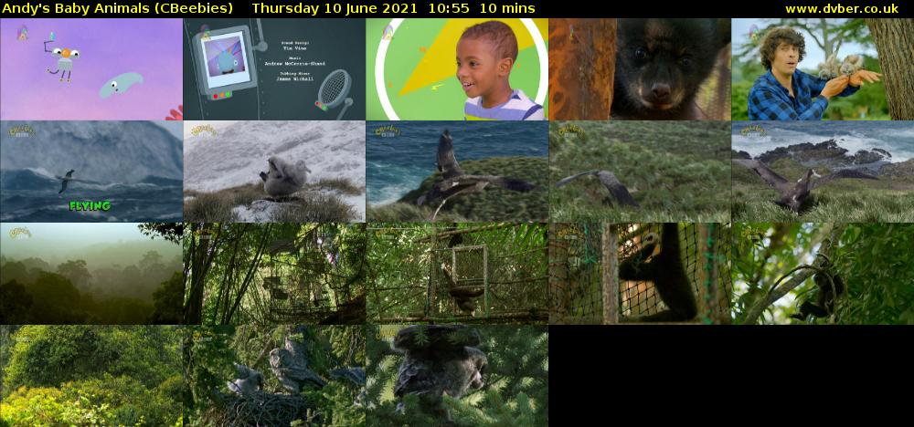 Andy's Baby Animals (CBeebies) Thursday 10 June 2021 10:55 - 11:05