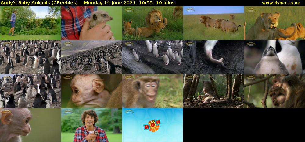 Andy's Baby Animals (CBeebies) Monday 14 June 2021 10:55 - 11:05