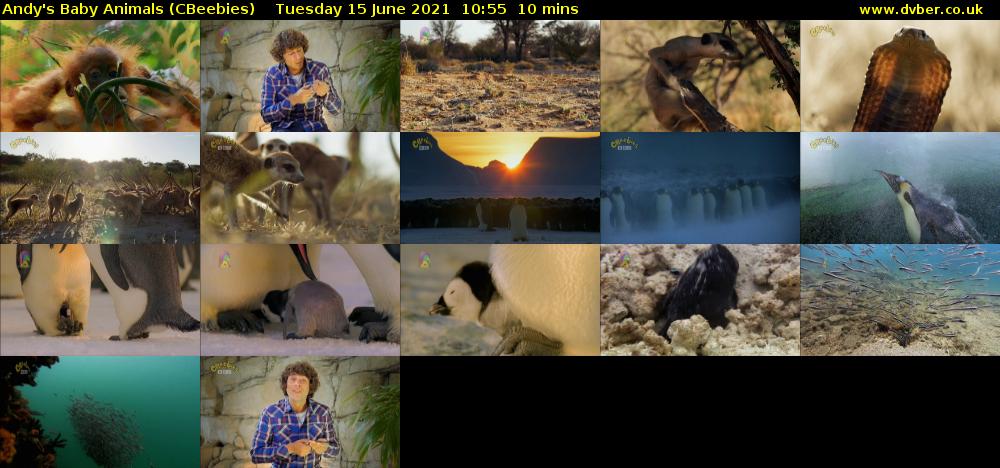 Andy's Baby Animals (CBeebies) Tuesday 15 June 2021 10:55 - 11:05