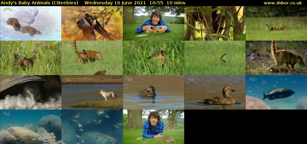 Andy's Baby Animals (CBeebies) Wednesday 16 June 2021 10:55 - 11:05